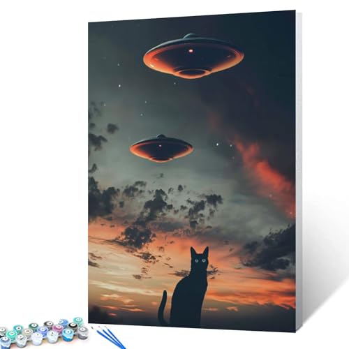 Tucocoo UFO Paint By Bumbers for Adults Beginner Black Cat DIY Paint by Numbers Acrylic Paint Canvas Sunset Moon Bedroom Decor Fantasy Scene Dark Clouds Painting Kits Art 16x20 Inch （Without Frame ） - color: Ufo 02, size: 16''x20''(Frameless)