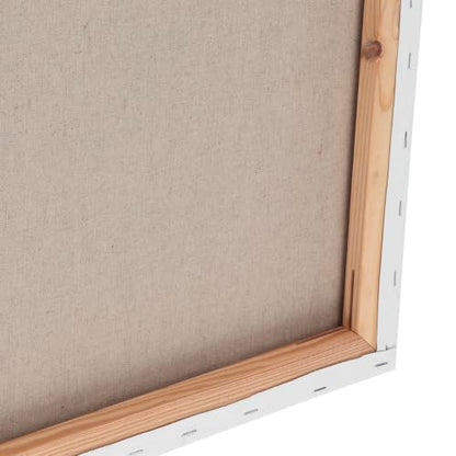 Centurion Deluxe Professional Acrylic Primed Linen Pre-Stretched Canvases, 11oz Linen - 16"x20", Box of 6, 3/4" Deep - Kiln-Dried Stretchers, Back Stapled, Canvas for Painting, Museum Archival Quality