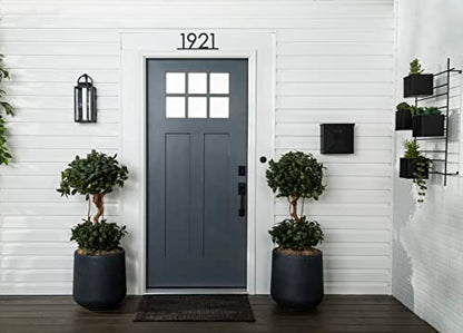 Rust-Oleum 369387 Advanced Dry Door & Trim Paint, Quart, Satin Alpine Gray - color: Satin Alpine Gray