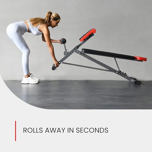 Finer Form Multi-Functional Adjustable Weight Bench and Roman Chair | 8 Back Extension Levels, Chest Press, Sit Ups, Flat Decline Settings, Sturdy Steel Frame, Thick Pad, Workout Chart Included