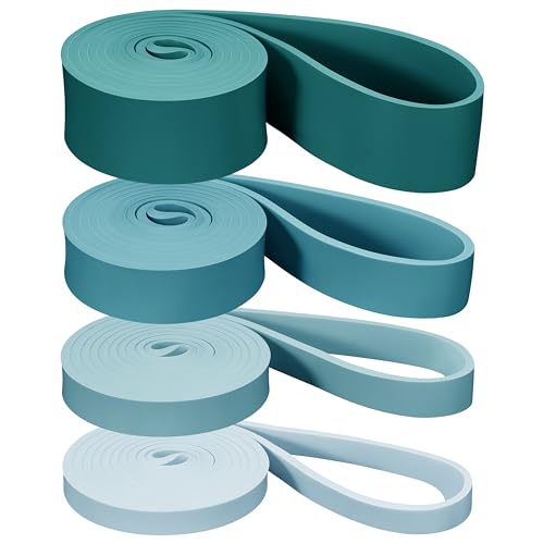 Retrospec Lift Resistance Pull Up Assistance Band Set for Working Out, Home Fitness, Toning, Stretching. Physical Therapy, Muscle Training & Exercise - Lightweight & Portable for Men & Women - color: Undertow