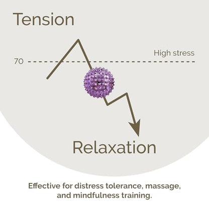 2X Spiky DBT Skill Balls | 1.25 inch | Magnetic Stress Relief Balls | Spiky Massage Balls for Relaxation, Tension Release, Focus & Mobility (Purple) - color: Purple, size: 1.25 Inch