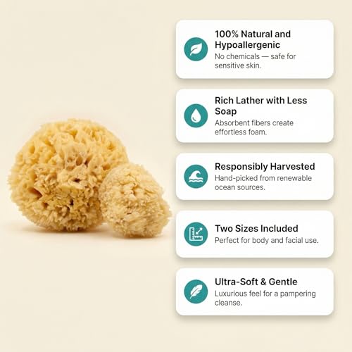 Natural Sea Wool Sponges 2pk, 6"-7" Body Sponge + 3"-4" Facial, Bath & Face | Softest sea sponge variety. Sustainably harvested & hypoallergenic. Perfect body + face set, gift-ready in a drawstring bag.