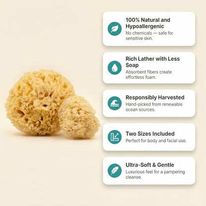 Natural Sea Wool Sponges 2pk, 6"-7" Body Sponge + 3"-4" Facial, Bath & Face | Softest sea sponge variety. Sustainably harvested & hypoallergenic. Perfect body + face set, gift-ready in a drawstring bag.