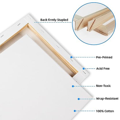 20 Pack Stretched Canvases-4Packs of 4x4,5x7,8x10,9x12,11x14 | 100% Cotton Blank Painting Canvas for Oil, Acrylic Paint & Other Painting Media - size: Mix 20Pack