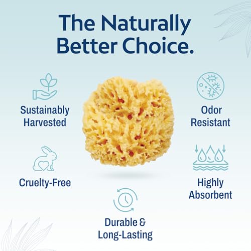 HartFelt Delicate Skin Wool Sea Sponge 4 in | Real Natural Sponges for Body and Face Gentle Care | Luxurious Lather - size: 1 Count (Pack of 1), style: Wool Sea Sponge