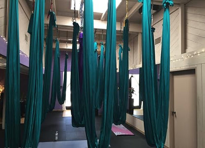 F.Life Aerial Silk Yoga Hammock & Swing for yoga Inversion,Strength training,starter hardware kit - color: Dark green