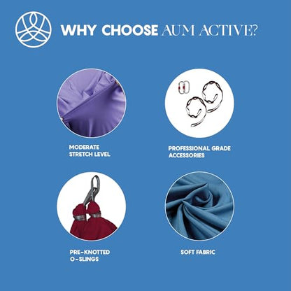 Aerial Yoga Hammock Swing, 4.5 Yards, Aerial Silks with Hardware - color: Plum, size: 4.5 yards