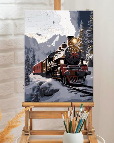 TOCARE Framed Paint by Numbers Kit for Adults, 12x16Inch Train Paint by Numbers with Frame, Snow Mountains Adult Paint by Number Framed Canvas Winter Nature Scenery(Without Easel) - color: TC-F-206