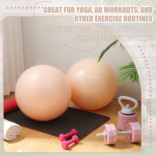 Leyndo 4 Pcs 26 Inch Yoga Exercise Ball Pilates - color: Nude