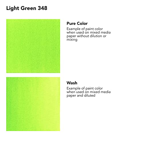 Daler-Rowney FW Acrylic Artists Ink, 1 oz, Light Green (160029348) - color: Light Green
