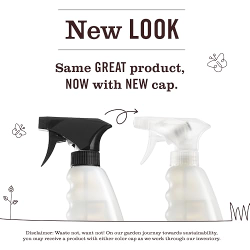 Mrs. MEYER'S Clean Day Multi-Surface Cleaner, Peppermint, 16 Fl Oz. (Pack of 2) - size: 16 Fl Oz (Pack of 2)