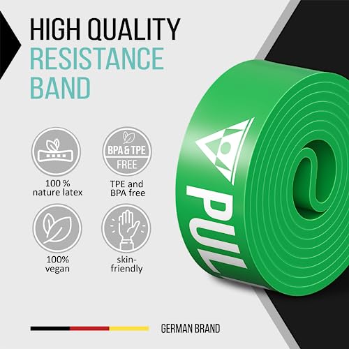 Pullup & DIP Fitness Bands, Resistance Bands with Bag, Door Anchor (with Sets) and Exercise Guide - Single & in Value Set, Pull-Up Band Fitness Band for Calisthenics - color: STRONG (Green)