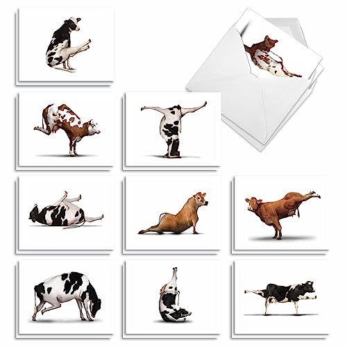 The Best Card Company - 20 Blank Yoga Animal Cards (4 x 5.12 Inch) - All Occasion Set (10 Designs, 2 Each) - Bovine Nirvana AM6545OCB-B2x10 - style: Bovine Nirvana