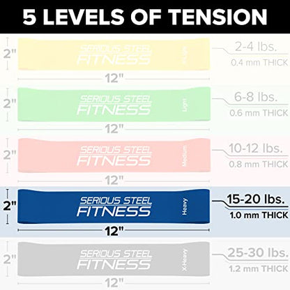 Serious Steel Fitness Mini Resistance Loop Bands | Rehab and Prehab Stretch Bands | 12" Exercise Workout Bands (Sets of 5 Pack and Sets of 10 Pack Trainer Options Available!) - color: Heavy 10 Pack (2" x 12")