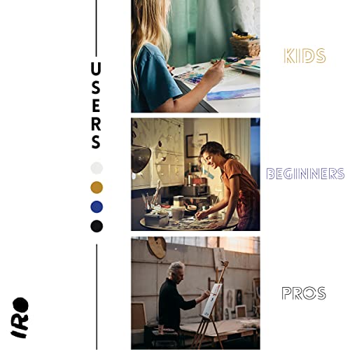 IRO Artist Paint Brush Set of 15 Professional Flat Paint Brushes for Acrylic Painting and Oil Paints. Round Watercolor Paint Brushes and Gouache. Painting Set for Adults Kids. Knife, Sponge, Case
