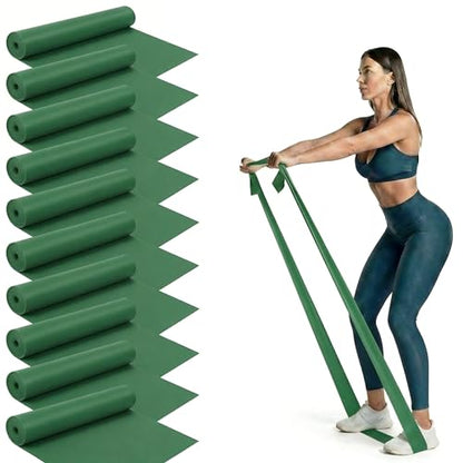 Shappy 10 Pack Resistance Bands, 5.4ft Long Exercise Band Bulk, Non-Latex Elastic Stretch Bands for Physical Therapy, Stretching, Rehab, Yoga, Pilates, Gym, Home Exercise - size: 36 lbs