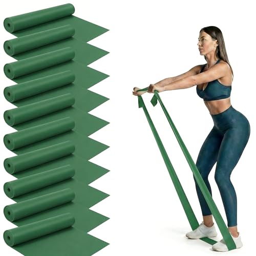 Shappy 10 Pack Resistance Bands, 5.4ft Long Exercise Band Bulk, Non-Latex Elastic Stretch Bands for Physical Therapy, Stretching, Rehab, Yoga, Pilates, Gym, Home Exercise - size: 36 lbs