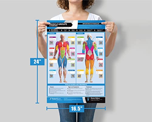 Set of 7 Gym Workout Posters - Laminated Muscle Group Exercise Charts with Free Video Guides, Dumbbell, Kettlebell and Barbell Exercise for Full Body Training and Home Gym Fitness Room Décor