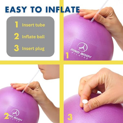 ProBody Pilates Ultimate 4 pc Kit - Pilates Ring, 65 cm Yoga Ball with Base and Bands, 9" Ball