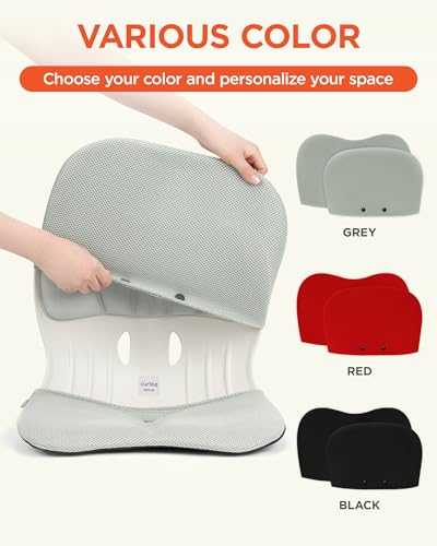 curble Wider Cover, Detachable Cover for Teenager Chair, Ergonomic Chair Back Support and Lumbar Support (Cover Grey) - color: Cover Grey