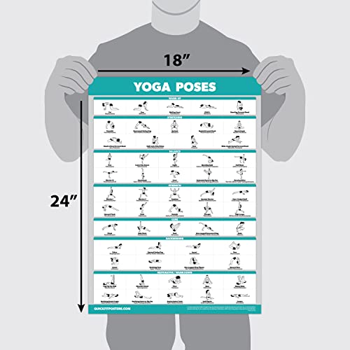 Palace Learning QuickFit Yoga Position Exercise Poster - Yoga Asana Poses Chart - Laminated, 18" x 24"