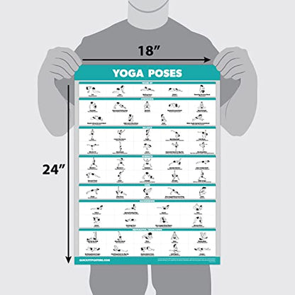 Palace Learning QuickFit Yoga Position Exercise Poster - Yoga Asana Poses Chart - Laminated, 18" x 24"