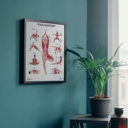 Anatomy Lab Yoga Laminated Poster, Detailed Yoga Anatomy Chart with Muscles | Poses, Body Alignment for Instructors, Students, Wellness Studios - color: Yoga