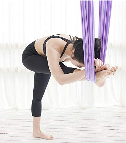 F.Life Aerial Silk Yoga Hammock & Swing for yoga Inversion,Strength training,starter hardware kit - color: lavendar