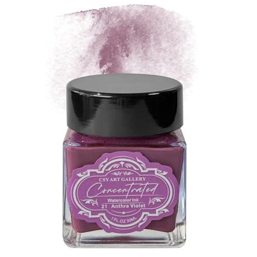 Drawing Inks,Calligraphy Inks,Liquid Watercolor Paint,Dip Pen Ink Set for Writing, Drawing (21 Anthra Violet)