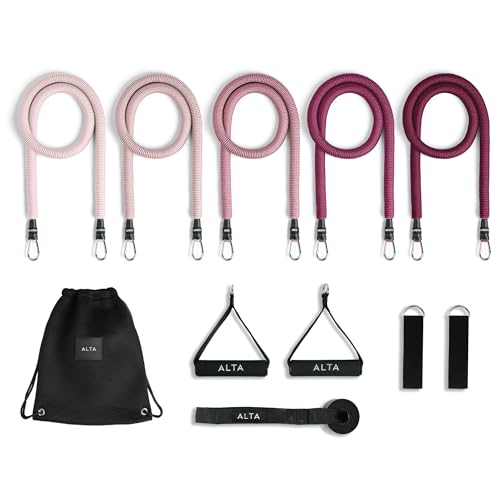 ALTA Resistance Tube Bands for Women, Full Kit Resistance Bands, Set of 3 | Full Kit Resistance Bands for Working Out with Handles, Ankle Straps, Door Anchor Home Workout Bands for Physical Therapy - color: Burst, size: 5 Band Set