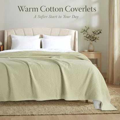 Threadmill Luxury Cotton Blankets for Queen Size Bed | All-Season 100% Cotton Queen Size Blanket | Aster Cozy Lightweight, Soft Breathable Coverlet fits Full Size Bed, 90x92 | Sage Green - color: Aster Sage Green, size: Queen / Full