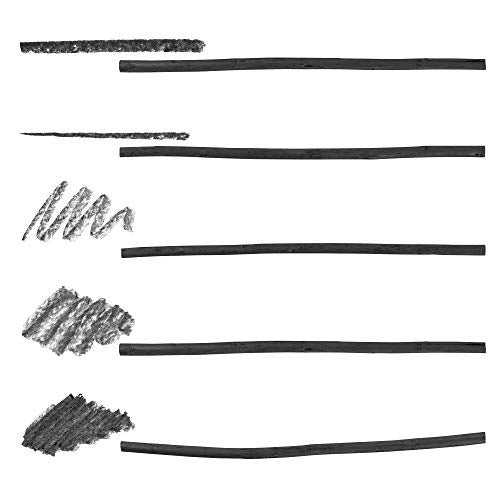 Pacific Arc Artist Vine Charcoal, Medium, Black 12 Pieces, Artist Vine Charcoal Sticks, Medium and Smooth Drawing Charcoal - style: Medium | 12 Sticks