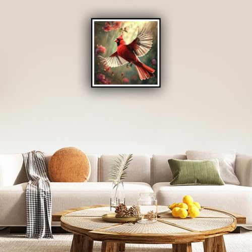 hill froeistung Cardinal Diamond Art Kits for Adults,Beginners | 5D Flower Diamond Art Painting Kits,DIY Paint with Round Full Drill Diamond Dots Craft Home Wall Decor Gift 12x12 inch，Bird - color: HF-A155