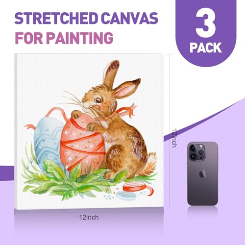 ESRICH Stretched Canvas for Painting 12x12 Inch, 3 Pack Square Painting Canvas -5/8 in Profile Primed Cotton White Blank Canvases for Painting for Oil & Acrylic Paint - size: 12x12in