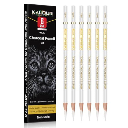 KALOUR White Charcoal Pencils Drawing Set, Professional 6 Pieces White Sketch Pencils for Drawing, Sketching, Shading, Blending, Chalk for Beginners & Artists - style: 6 White Charcoal Pencils