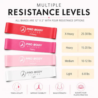 ProBody Pilates Kit — 14 Inch Ring, 9 Inch Ball, 4 Bands & Pump - color: Pink