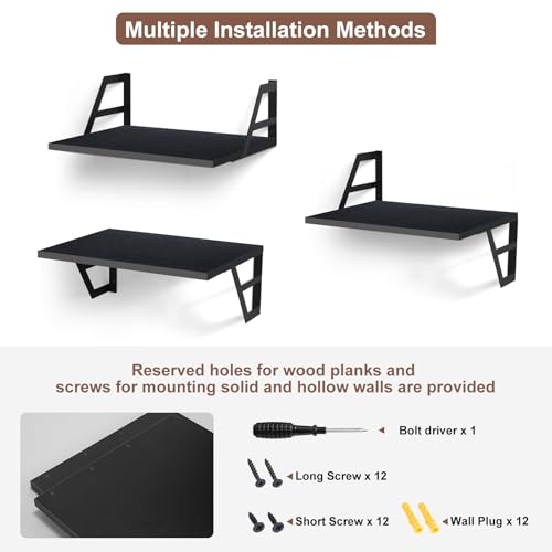 Tectocker-DOU 2 Pc Deep Floating Wall Shelves, Heavy Duty, 15.7×11.8, Black - color: Black, size: 15.7W×11.8D