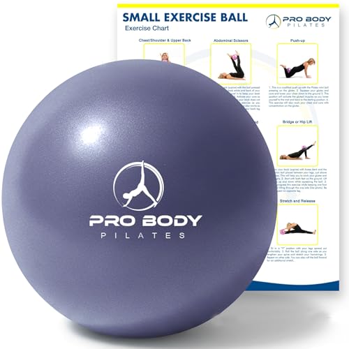 ProBody Pilates Ball Small — 9 Inch Small Yoga Ball - color: Indigo