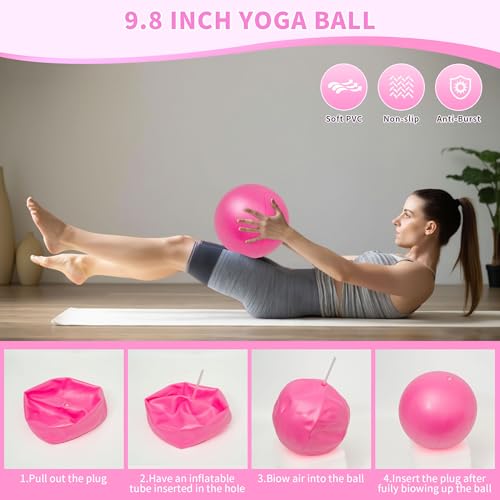 DICYWUDI Pilates Essentials Kit for Home Women, Pilates Equipment for Workouts, 6 Fabric Resistance Bands, 12 Inch Magic Circle Yoga Ring, Mini Exercise Ball, Great Exercise Equipment - color: 15pcs Pink set