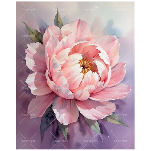 Peony Paint by Numbers Kit for Adults - DIY Pink Peony Painting on Canvas, Acrylic Paint Set, Suitable for Beginners, Great for Home Decoration or Gifts(12X16IN Framed) - color: TCXY06420, size: 12X16IN Framed