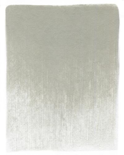 PanPastel Artist Pastels by GOLDEN, Neutral Gray Light, 2.44” / 62mm Pan Diameter, Professional Artist Pastels, Unique Pan Format (cake-like) - color: Neutral Gray Light