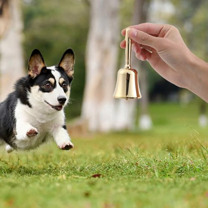 Super Loud Solid Brass Hand Call Bell Dinner Bell (M) | Hand Bells for Seniors Bedside, Teacher Classroom Bell, Ringing Bell at Wedding, Tibetan Meditation Bells, Gift for Bedridden - size: Medium