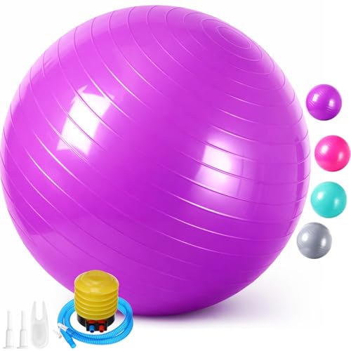 Leyndo 4 Pcs 26 Inch Yoga Exercise Ball Pilates - color: Pink Green Gray Set