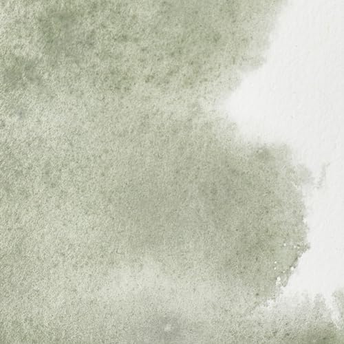 Winsor & Newton Professional Watercolor, 5ml Tube, Davy's Gray | Unrivalled Transparency, Single Pigment Vibrant Colors, Archival Permanence, Heritage Watercolors, Finest Pigments - color: Davy's Gray, style: 0.17-oz Tube