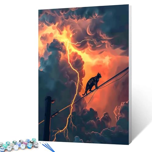 DIY Paint by Numbers for Adults Cat Walk on the Electric Wire DIY Digital Oil Painting Acrylic Paint Cloud Layer Lightning Painting Kits Wall Art Fantasy Scene Room Decor 16x20 Inch（DIY Frame ） - color: Ufo 01, size: 16''x20''(DIY Frame)