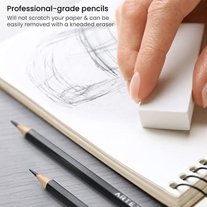 ARTEZA Drawing Sketch Pencils Set of 12, Graphite Pencils 6B to 4H, Pre-Sharpened Art Pencils in Metal Tin for Sketching, Shading, Drawing, Blending, and Detail Work