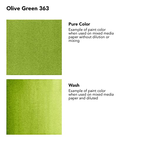 Daler-Rowney FW Acrylic Artists Ink, 1 oz, Olive Green (160029363) - color: Olive Green