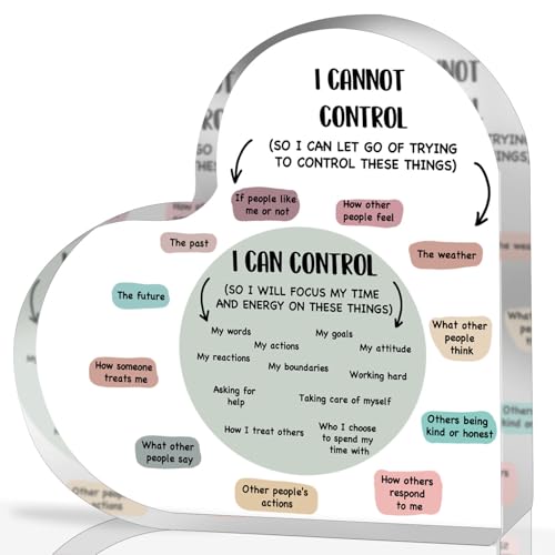 Mental Health Decor, Decor for Therapy Office School Counselor Sign Things I Can Control Acrylic Heart Gifts, Therapist Office Art Decorations for Therapist Office Living Room Bedroom Desktop Gift - color: 009
