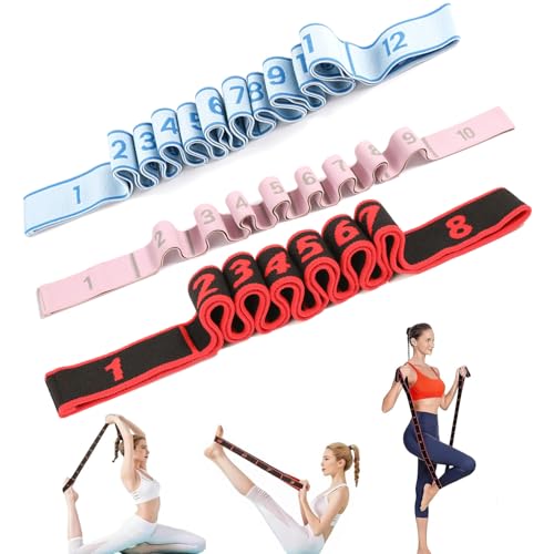 Fitness Resistance Band with Numbered Sections,2026 Elastic Tension Band Exercise Pull Rope - color: Red+Pink+Blue, size: 8+10+12 Section